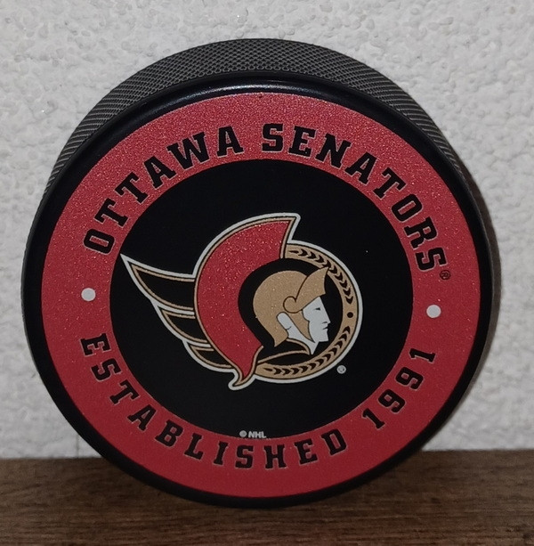 Official puck