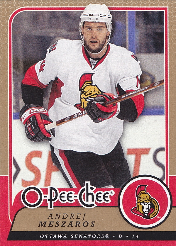 Hockey card Andrej Meszaros