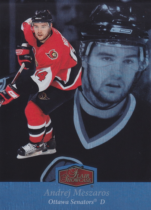 Hockey card Andrej Meszaros