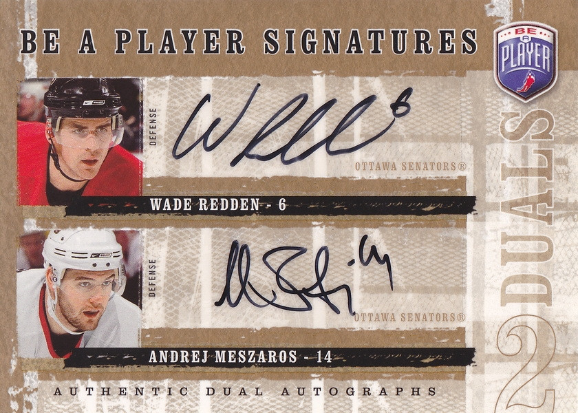 Hockey card Andrej Meszaros