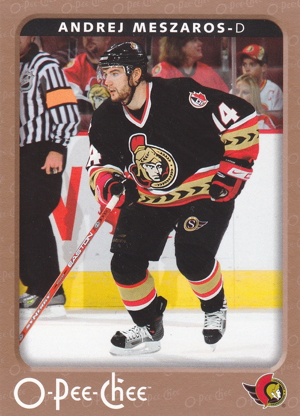 Hockey card Andrej Meszaros