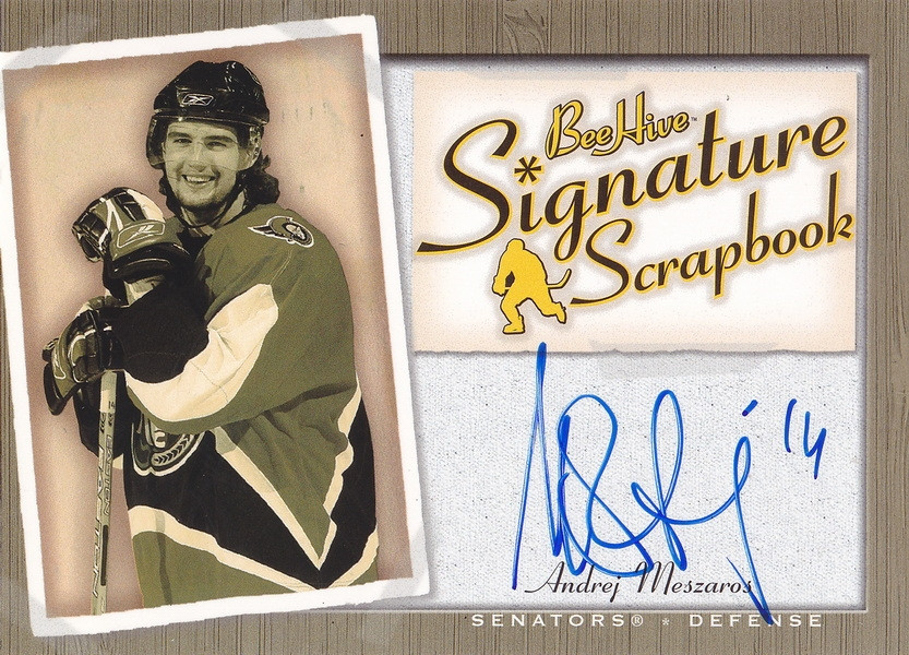 Hockey card Andrej Meszaros