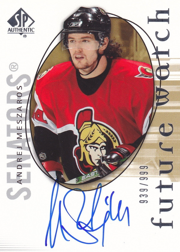 Hockey card Andrej Meszaros