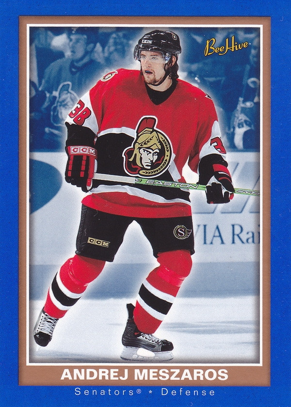 Hockey card Andrej Meszaros