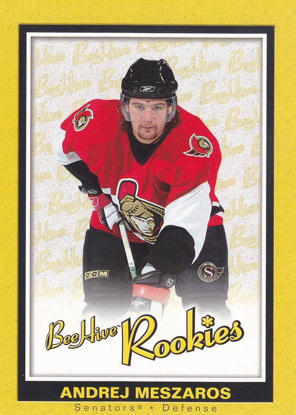 Hockey card Andrej Meszaros