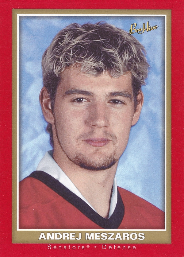 Hockey card Andrej Meszaros