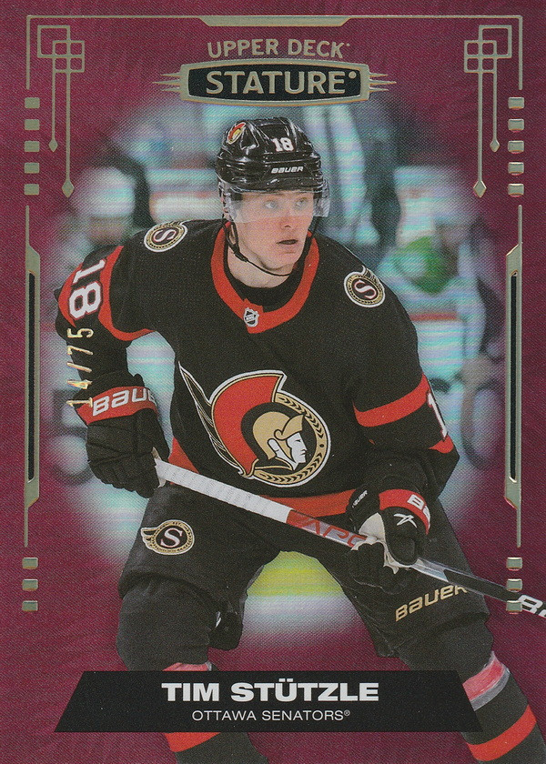 Hockey card Tim Stutzle