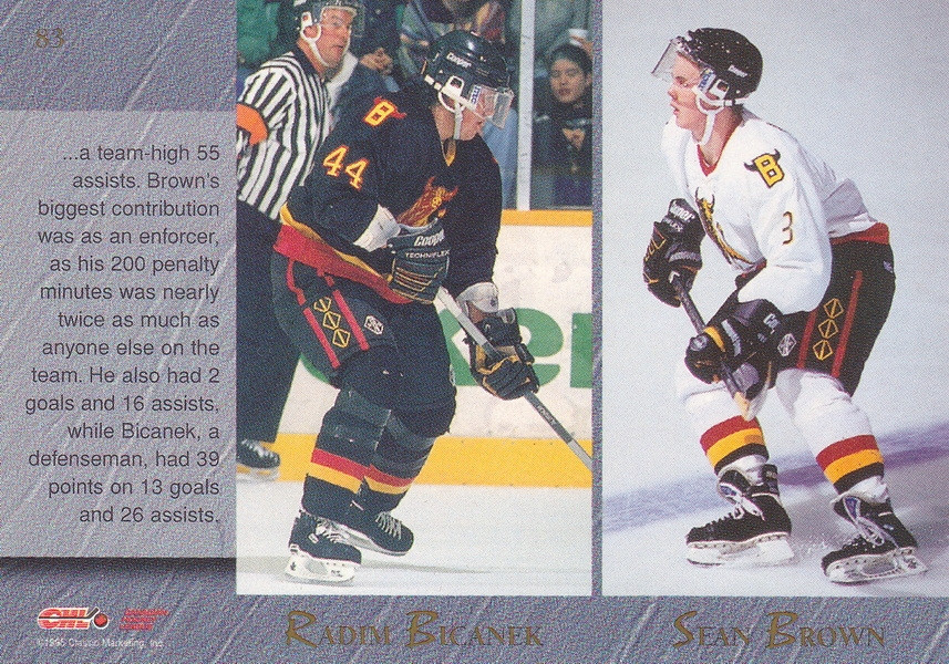 Hockey card Radim Bicanek