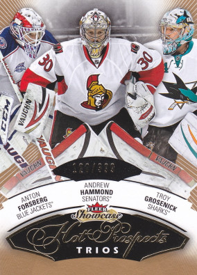 Hockey card Andrew Hammond
