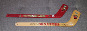 Hockey sticks