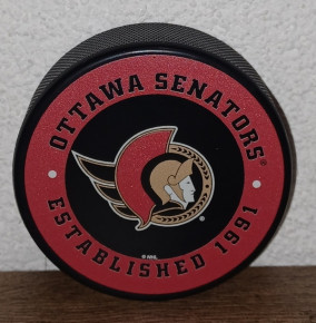 Official puck