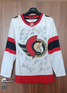 Official jersey