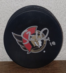 Official puck