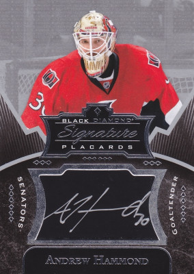 Hockey card Andrew Hammond