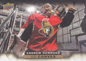 Hockey card Andrew Hammond