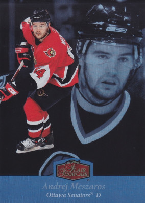 Hockey card Andrej Meszaros