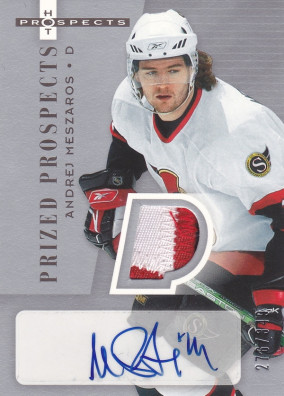 Hockey card Andrej Meszaros