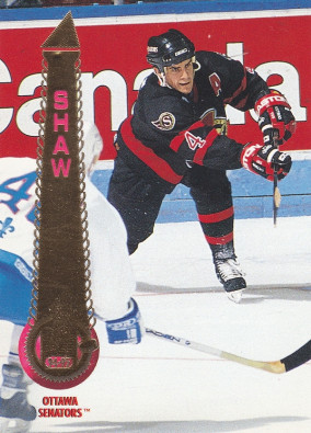 Hockey card Brad Shaw