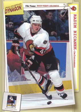 Hockey card Radim Bicanek