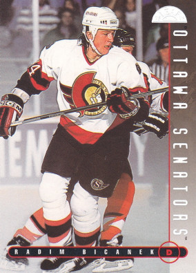 Hockey card Radim Bicanek