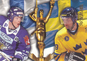 Hockey card Checklist