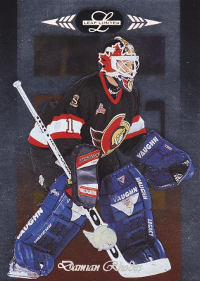 Hockey card Damian Rhodes