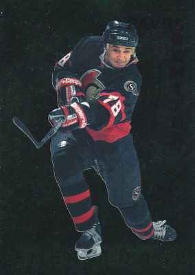Hockey card Pavol Demitra