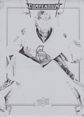 Hockey card Mike Condon