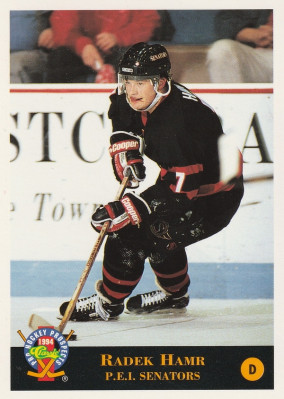 Hockey card Radek Hamr