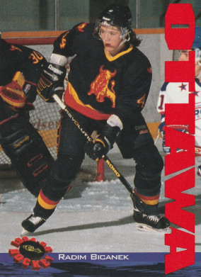 Hockey card Radim Bicanek