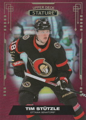 Hockey card Tim Stutzle