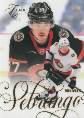Hockey card Donovan Sebrango