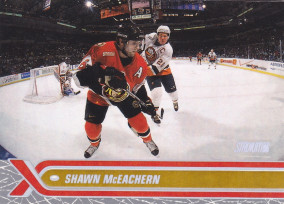 Hockey card Shawn McEACHERN