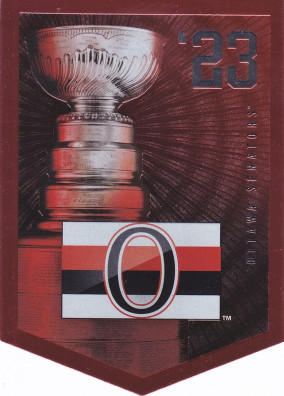 Hockey card Stanley Cup