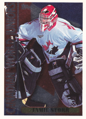 Hockey card Jamie Storr