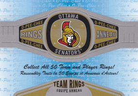 Hockey card Team Logo