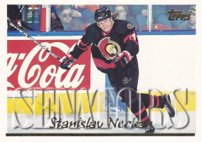 Hockey card Stanislav Neckar