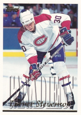 Hockey card Turner Stevenson
