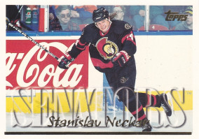 Hockey card Stanislav Neckar