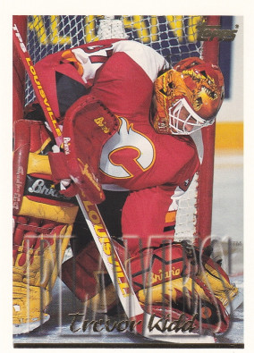Hockey card Trevor Kidd