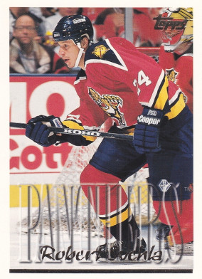 Hockey card Robert Svehla