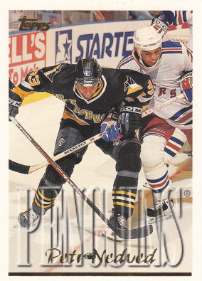 Hockey card Petr Nedved