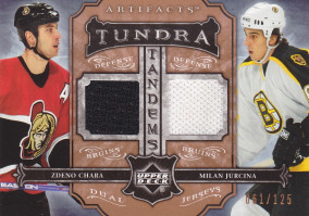Hockey card Zdeno Chara